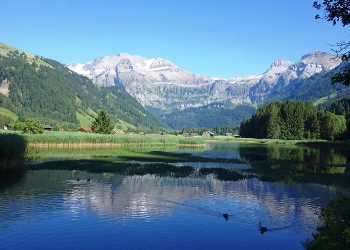 Brandegg 4 By Interhome Lejlighed Lenk